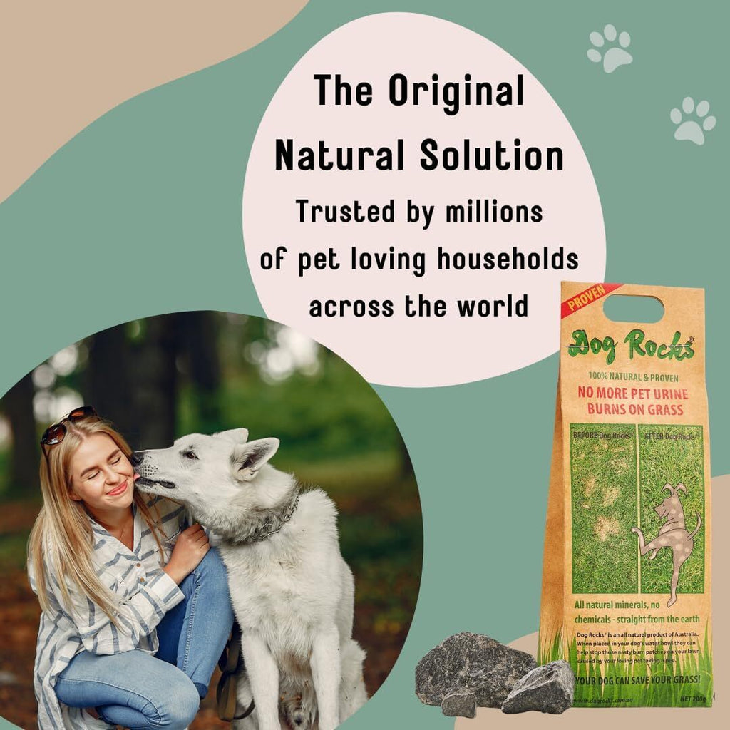 DOG ROCKS Water Feed Bowl Igneous Rock Stone Stop Pet Urine Lawn Grass Burn