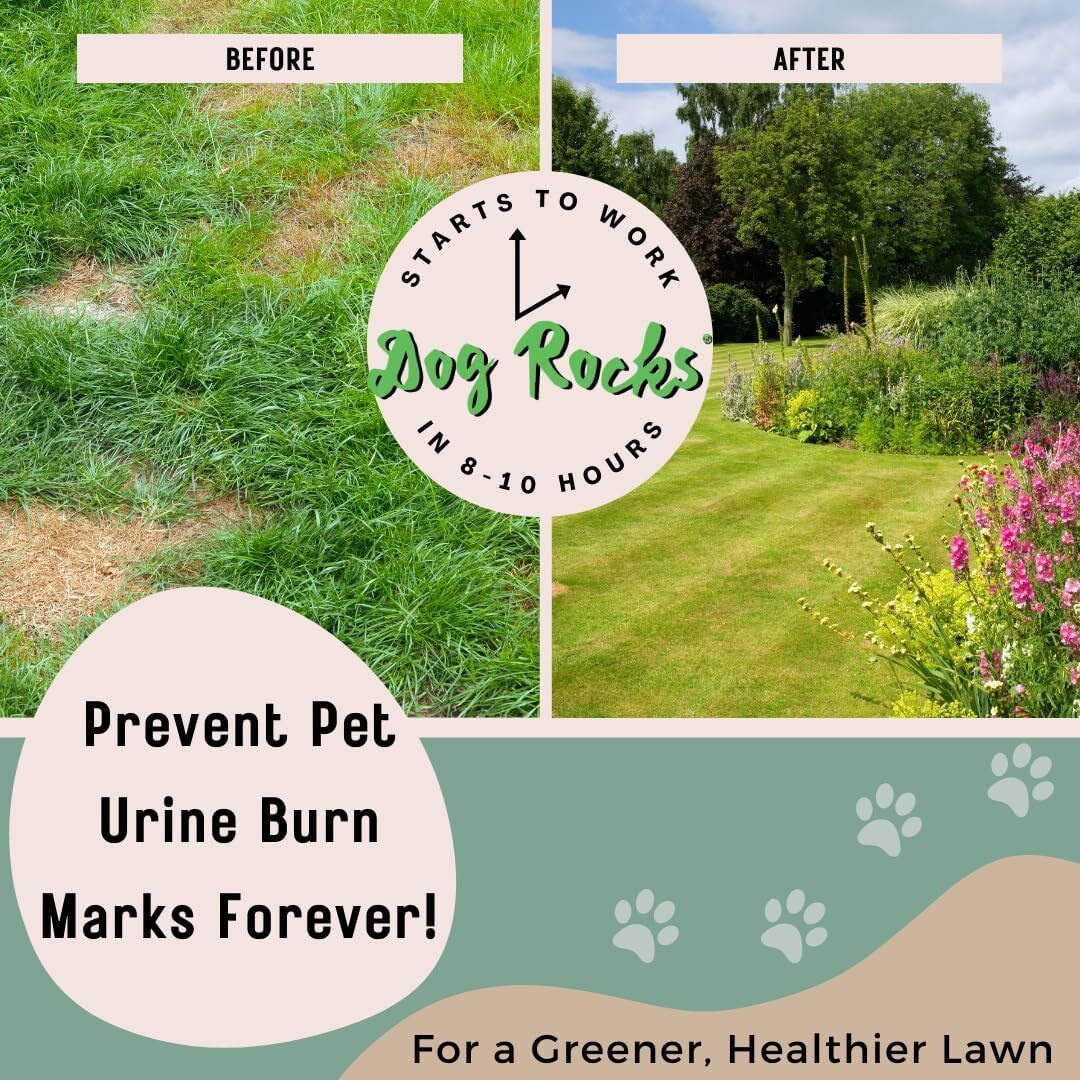 DOG ROCKS Water Feed Bowl Igneous Rock Stone Stop Pet Urine Lawn Grass Burn