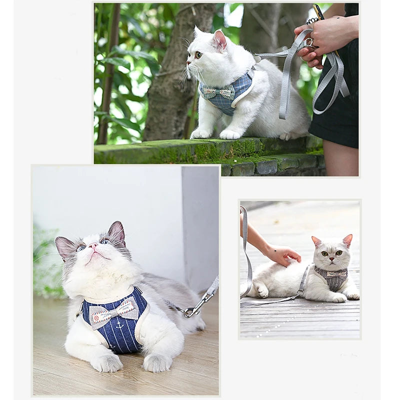 Cat Harness and Leash Set with Bowknot Mesh Design - Adjustable Vest and Lead for Cats and Small Dogs