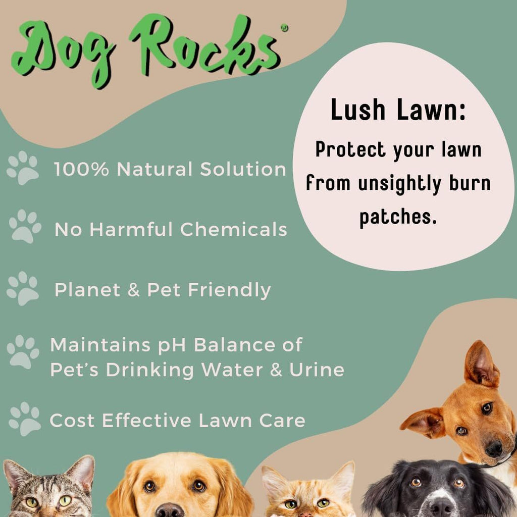 DOG ROCKS Water Feed Bowl Igneous Rock Stone Stop Pet Urine Lawn Grass Burn