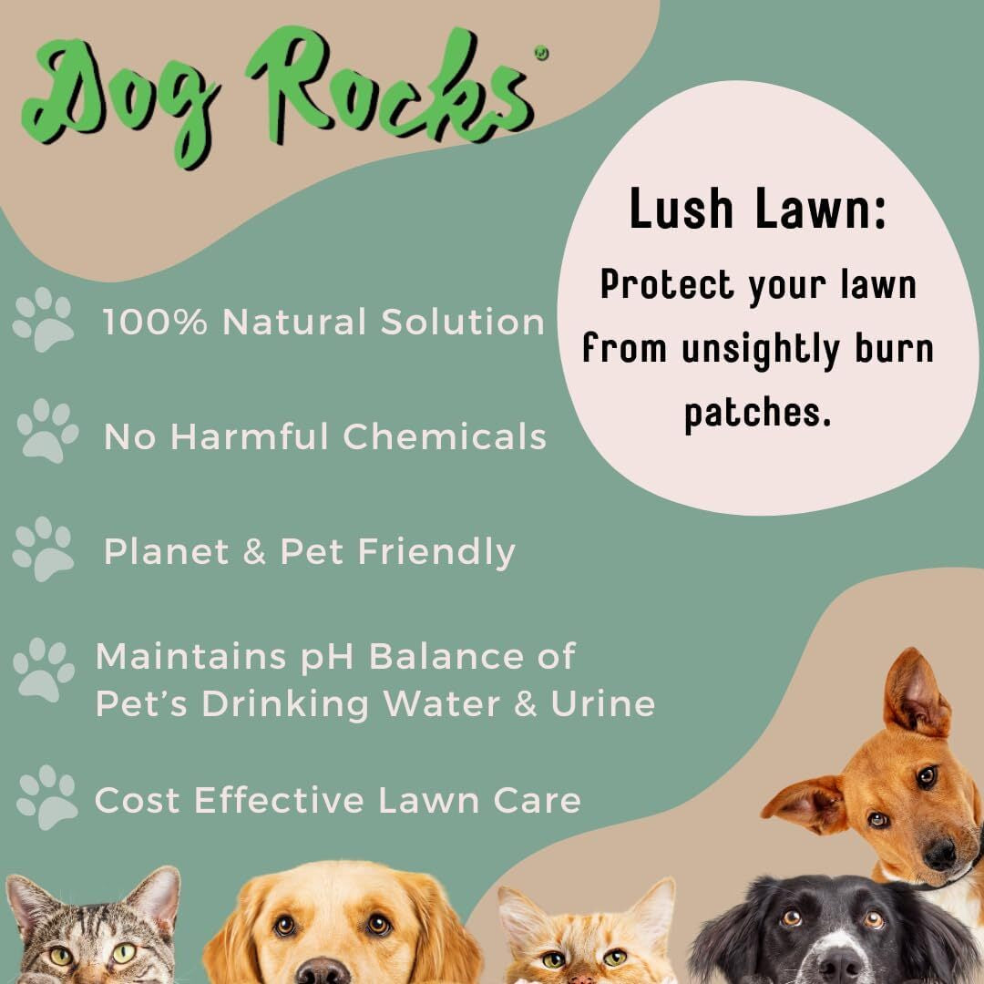 DOG ROCKS Water Feed Bowl Igneous Rock Stone Stop Pet Urine Lawn Grass Burn