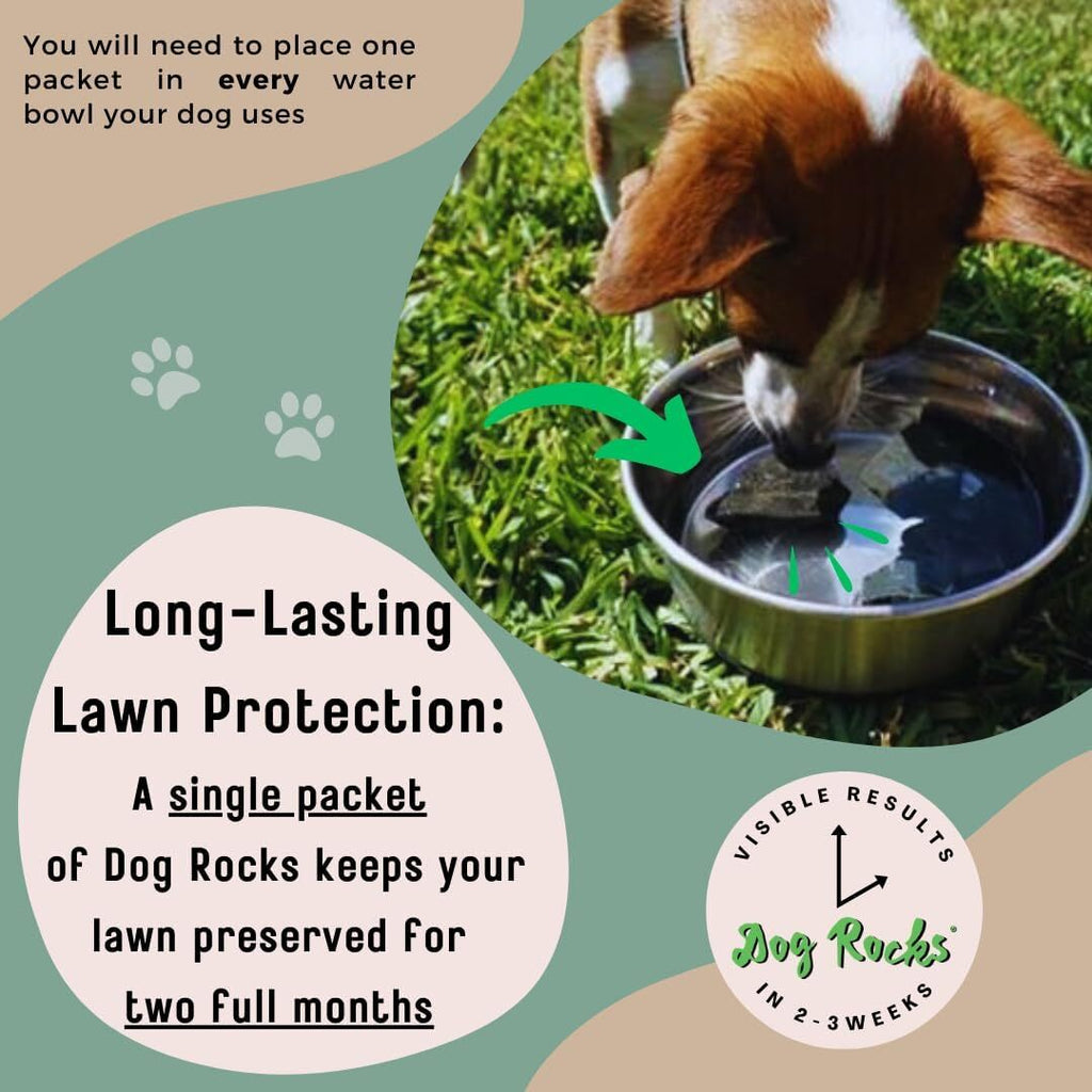 DOG ROCKS Water Feed Bowl Igneous Rock Stone Stop Pet Urine Lawn Grass Burn