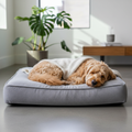 Cuccia cane supercomfort in memory foam con cane che dorme