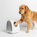 Macchina automatica pulisci zampe per cani su sfondo bianco